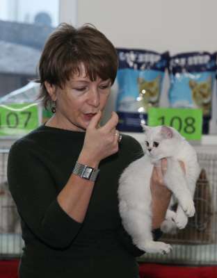 �������� ����� '������� ���-�����' 30 ������-1 ������� 2013., ������������ ��� 2196